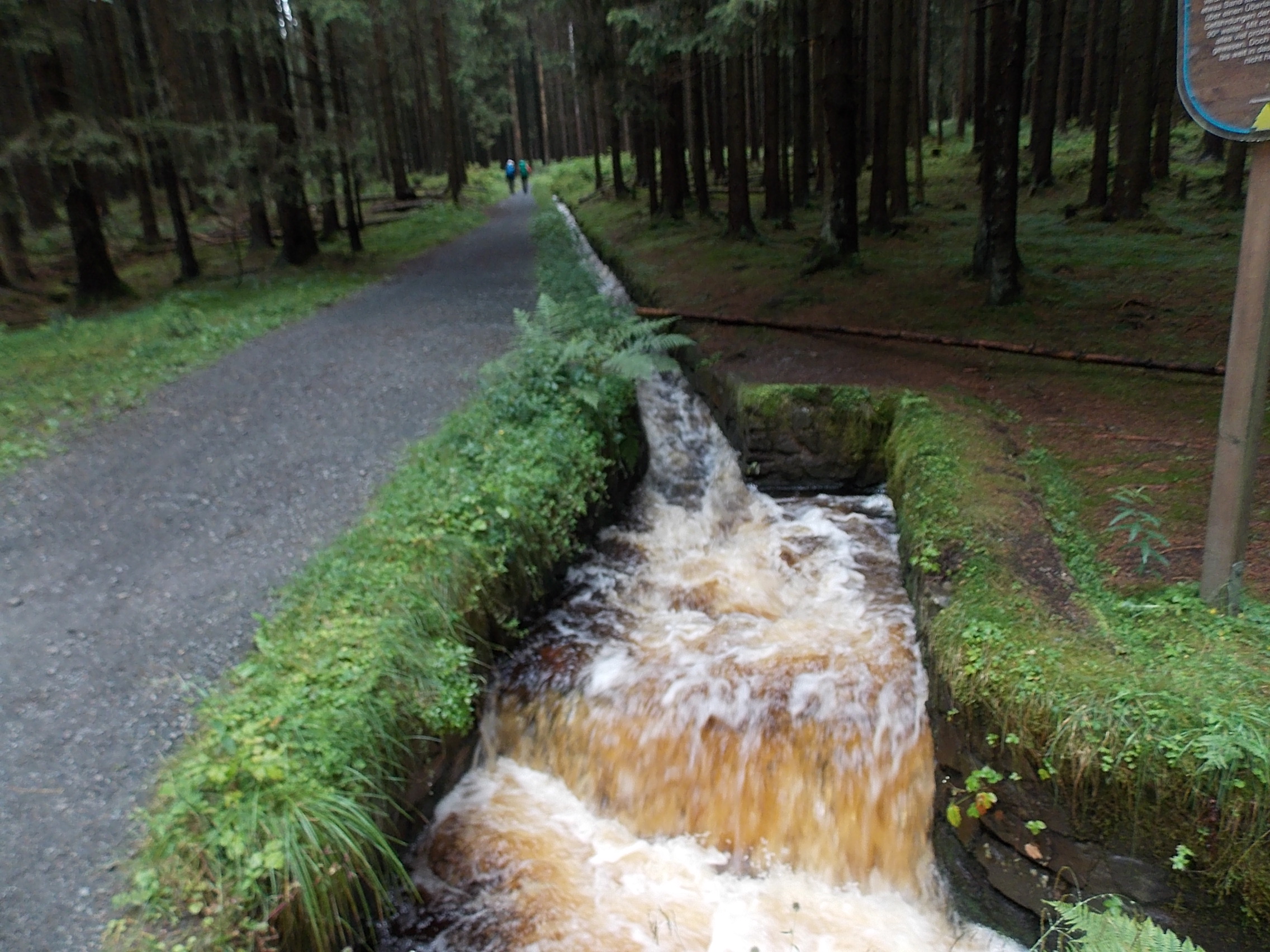 8 Dammgraben fwspass.de