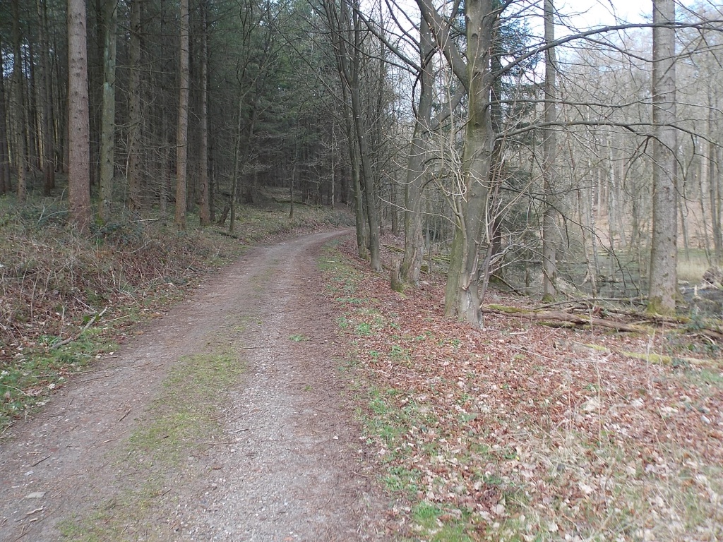 W4 Brekendorfer Forst