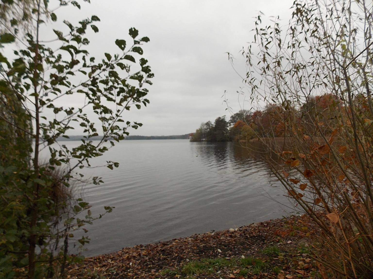 039 Krummsee FWSpass.de