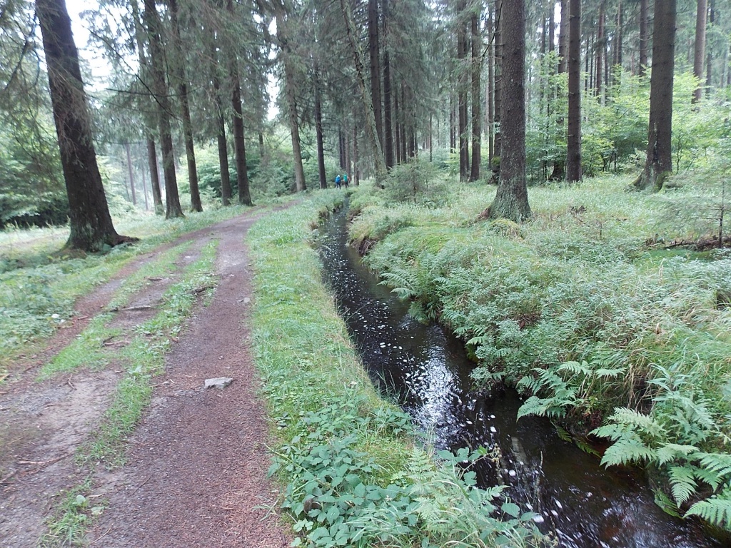 Dammgraben Harz