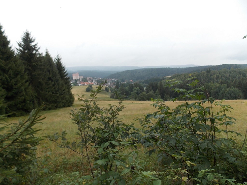 Altenau Harz