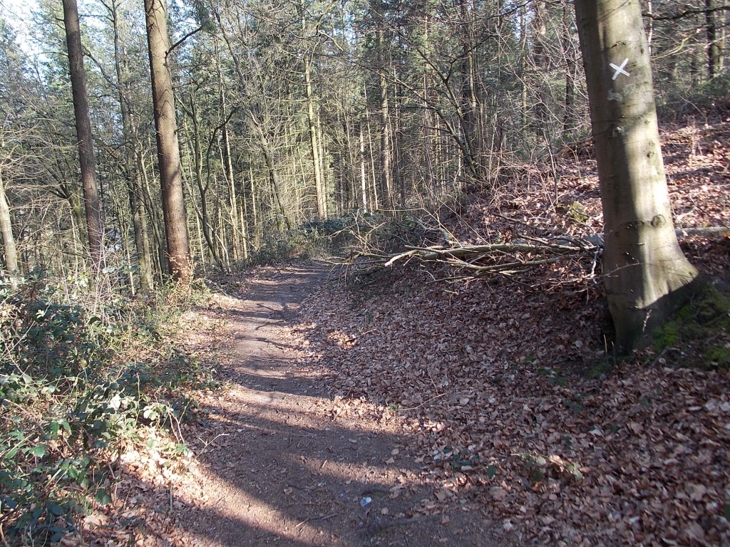 W4 Brekendorfer Forst und E1