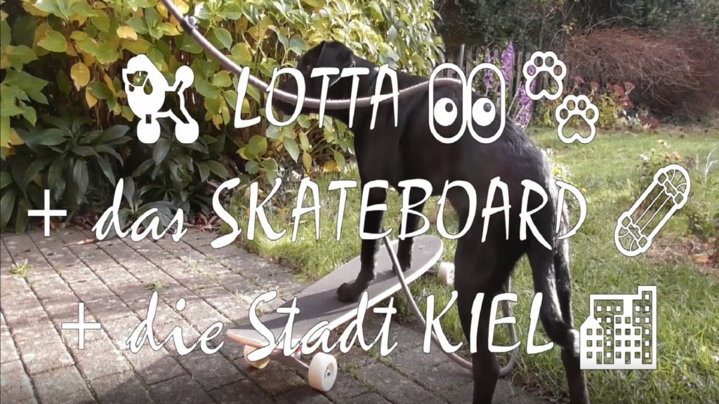 Lotta Labrador Skateboard Kiel