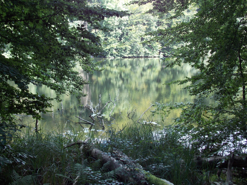 Preetz Plön Wielener See
