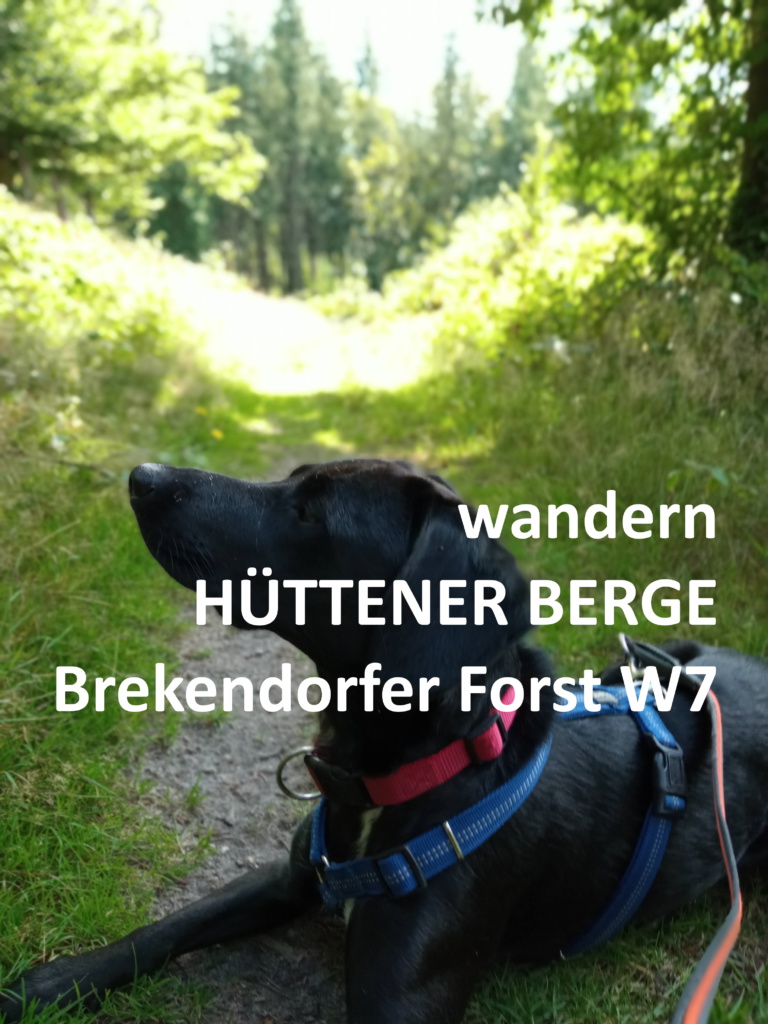 wandern HÜTTENER BERGE Brekendorfer Forst W7