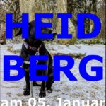 WANDERN 5. Januar 2024 HEIDBERG shorts l YouTube l FWSpass l Michael Rieck