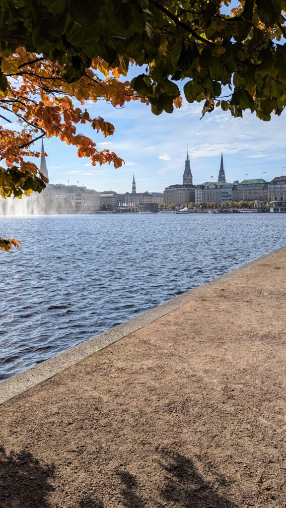 Hamburg Binnenalster l Michael Rieck l FWSpass