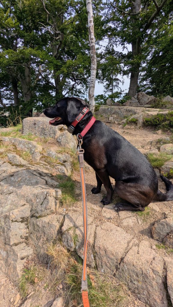 Lotta Paternosterklippe