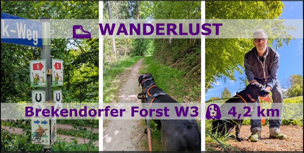 wanderlust BREKENDORFer Forst Wanderroute 3 YouTube FWSpass.de Michael Rieck