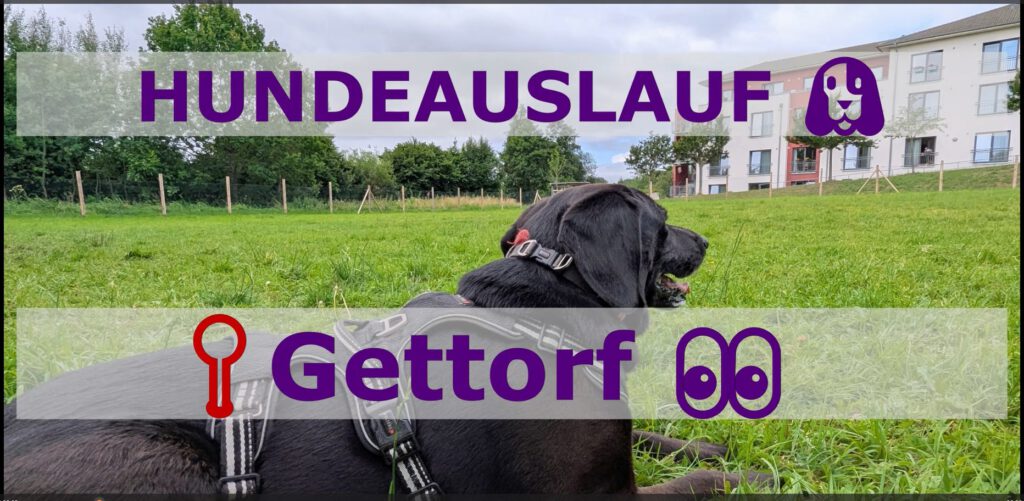 Hundeauslauf Gettorf