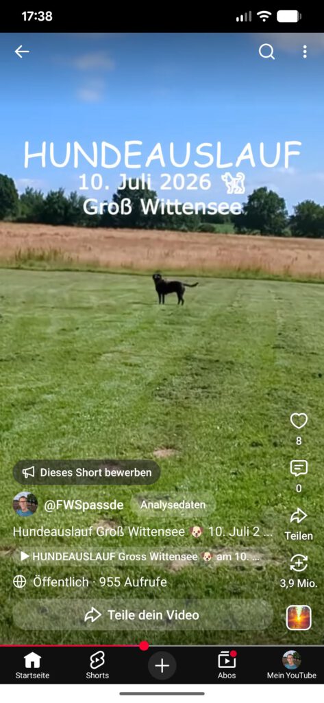 Hundeauslauf Groß Wittensee