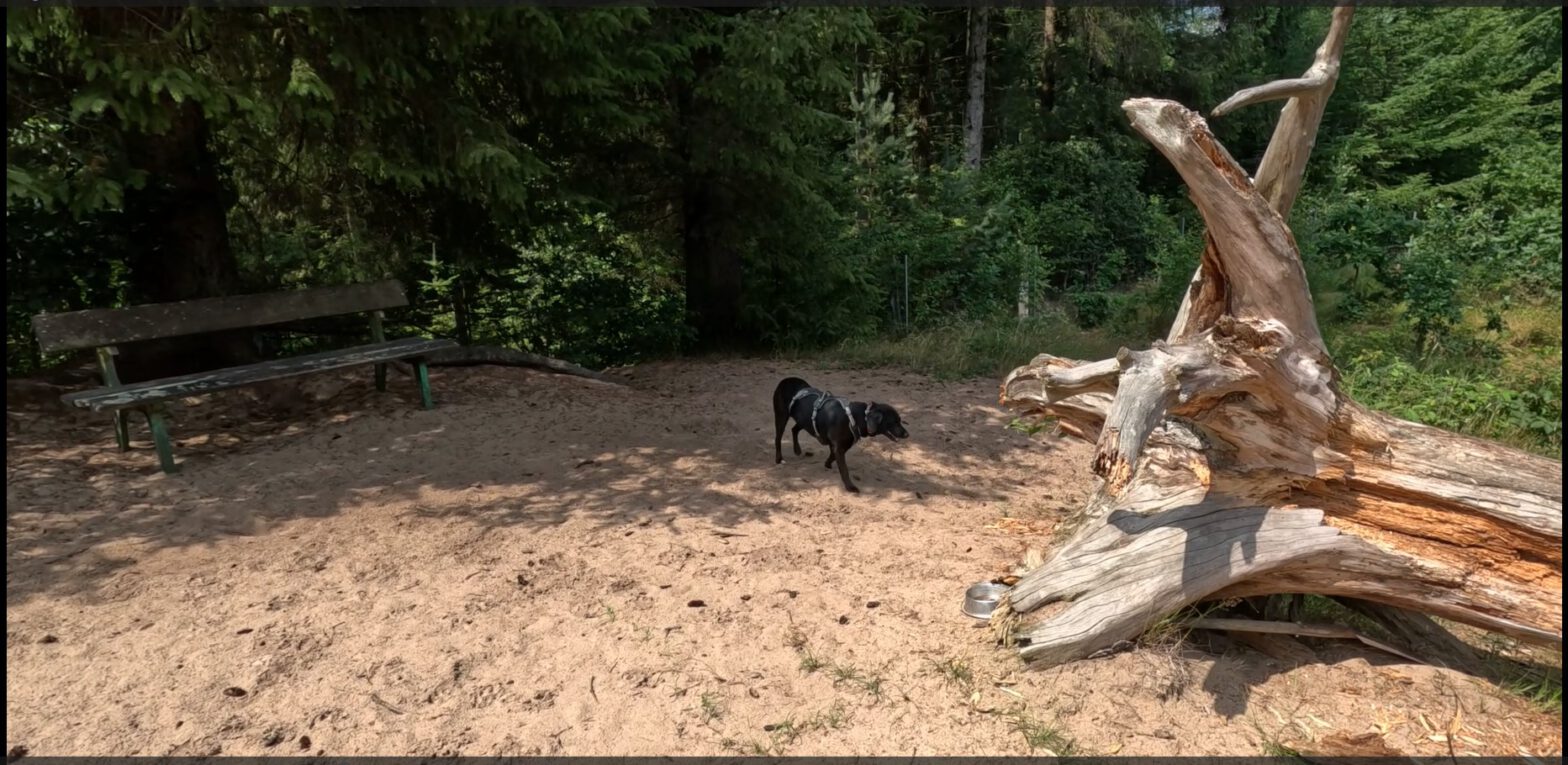 Hundewald Leck