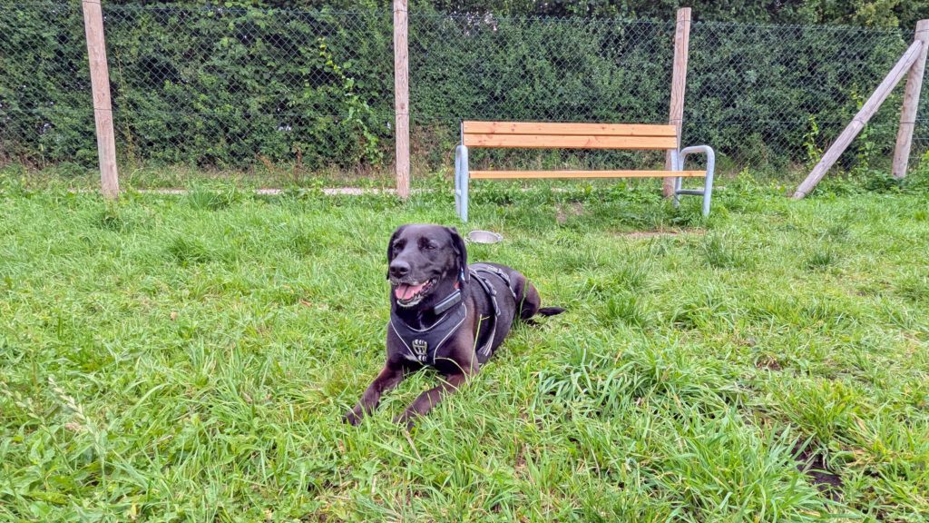Hundeauslauf Gettorf