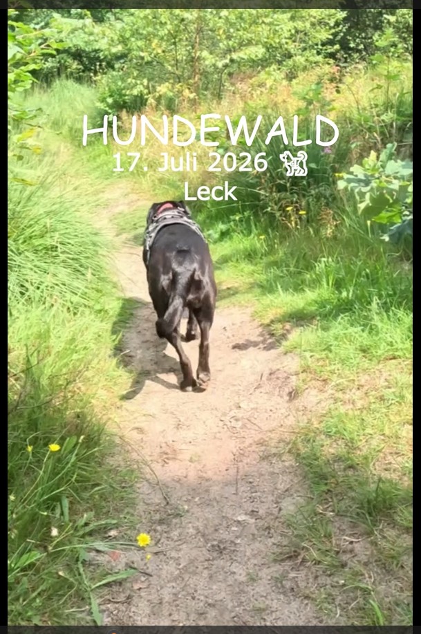 HUNDEWALD Leck
