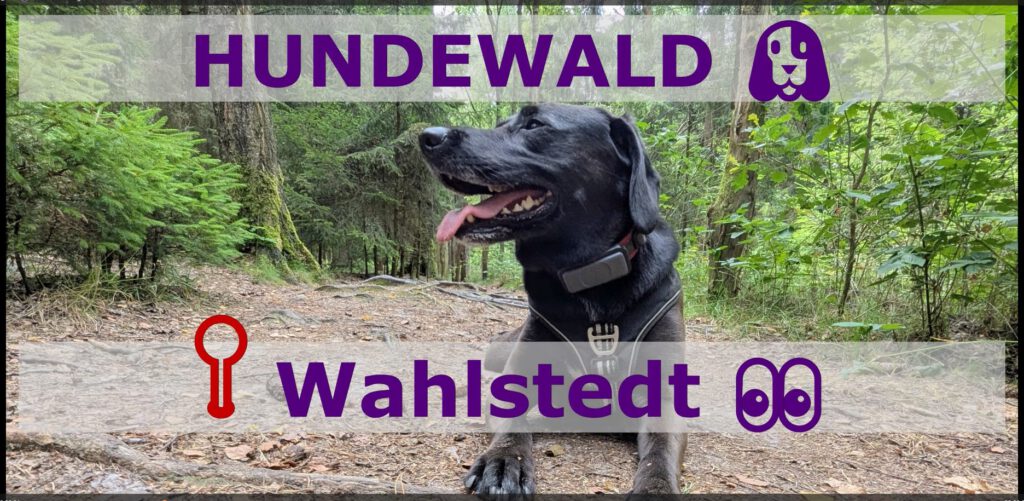 HUNDEWALD Wahlstedt