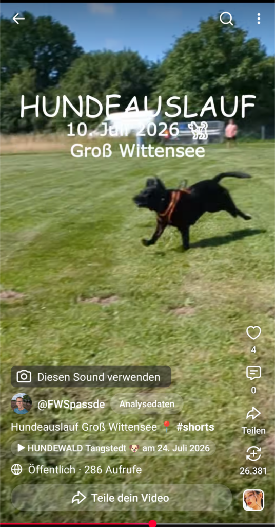 Hundeauslauf Groß Wittensee YouTube shorts