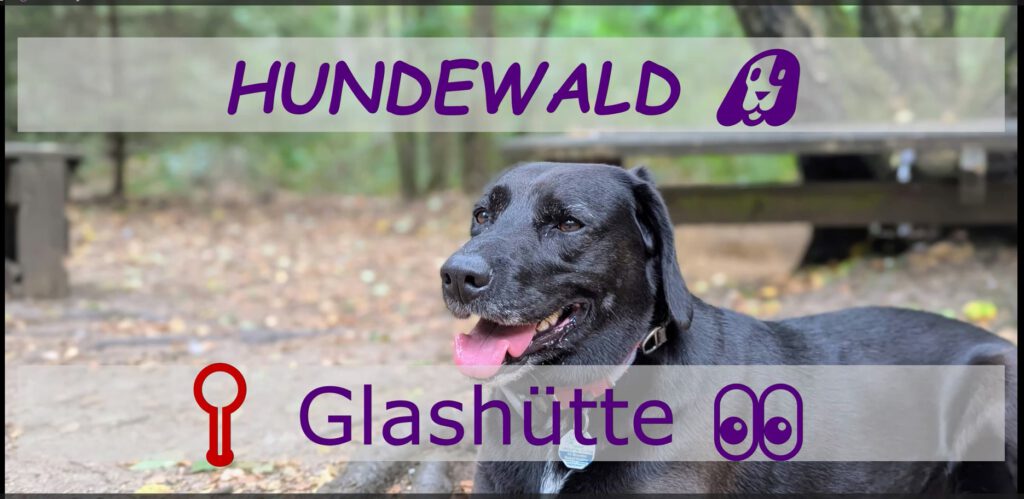 HUNDEWALD Glashütte