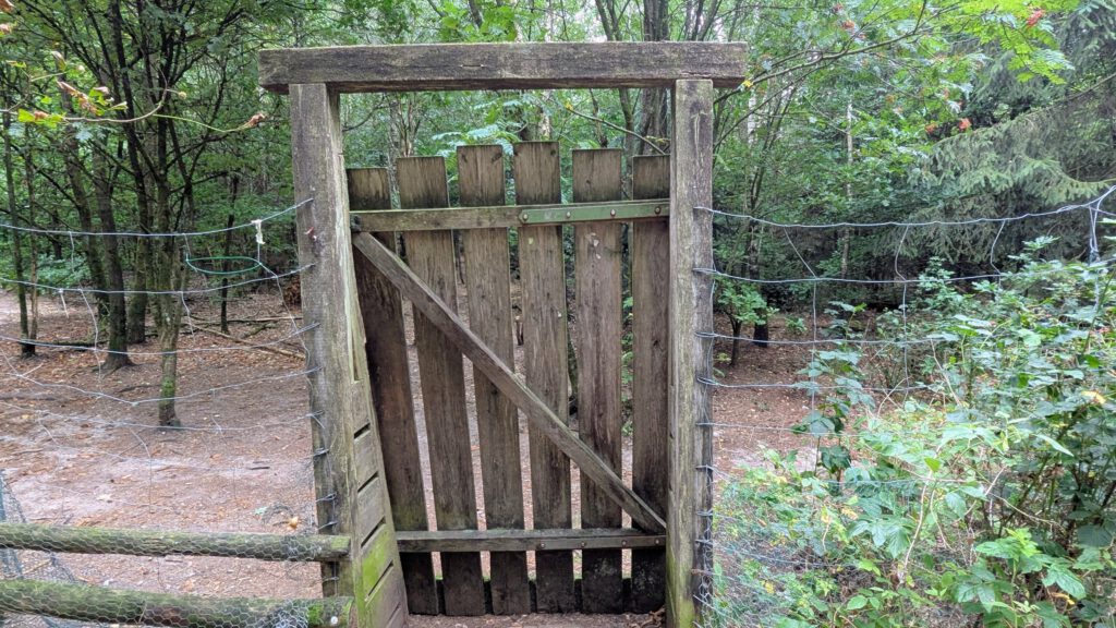 Hundewald Glashütte